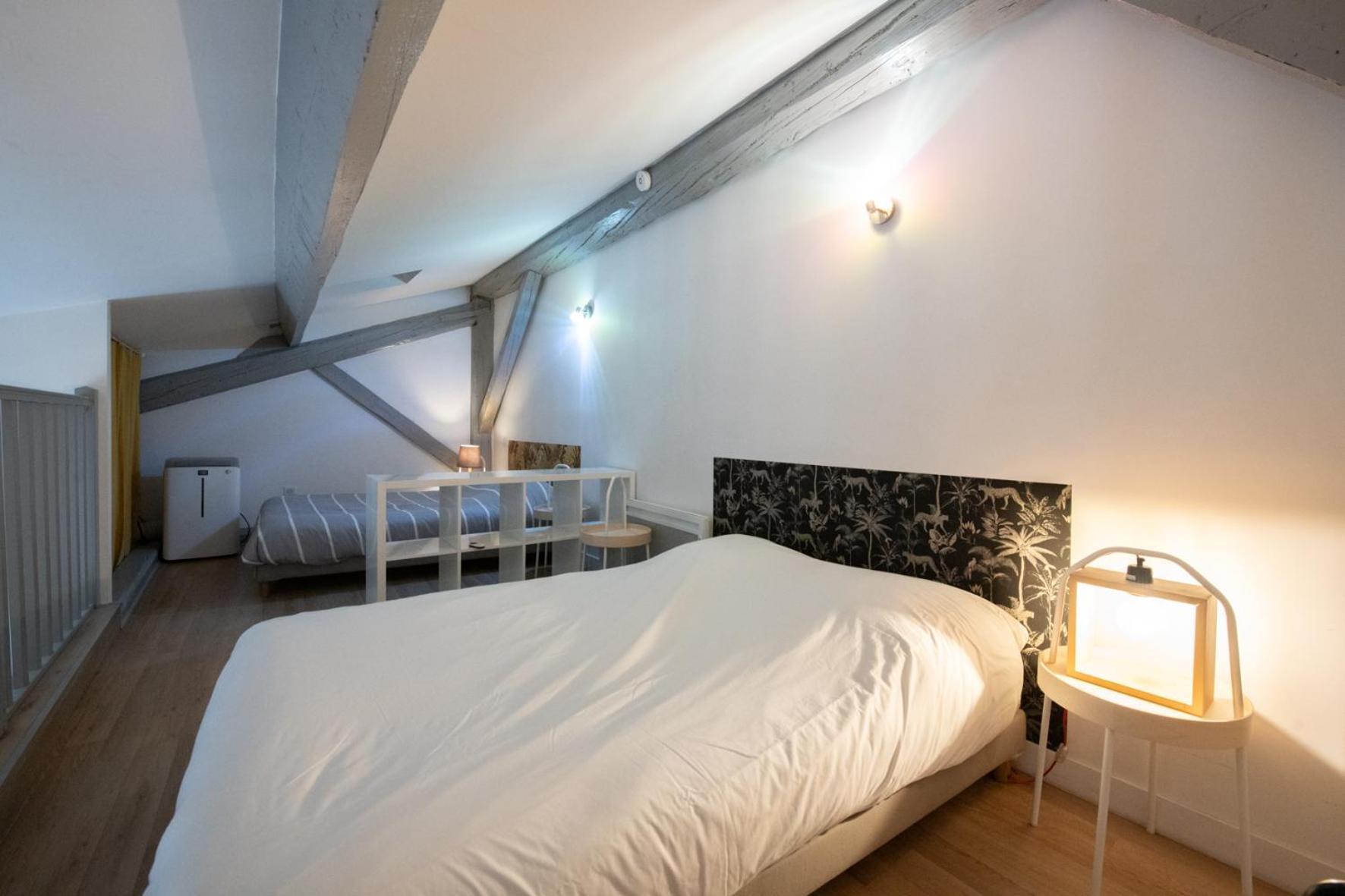 Duplex Scandinave A Cosy Et Calme - Lyon Part-Dieu エクステリア 写真